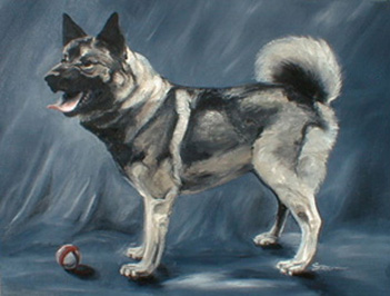 Portrait of a dog, "Thor"